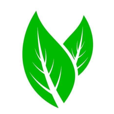 Forestree Furnishing